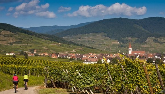 Alsace à vélo - GlobalBiker