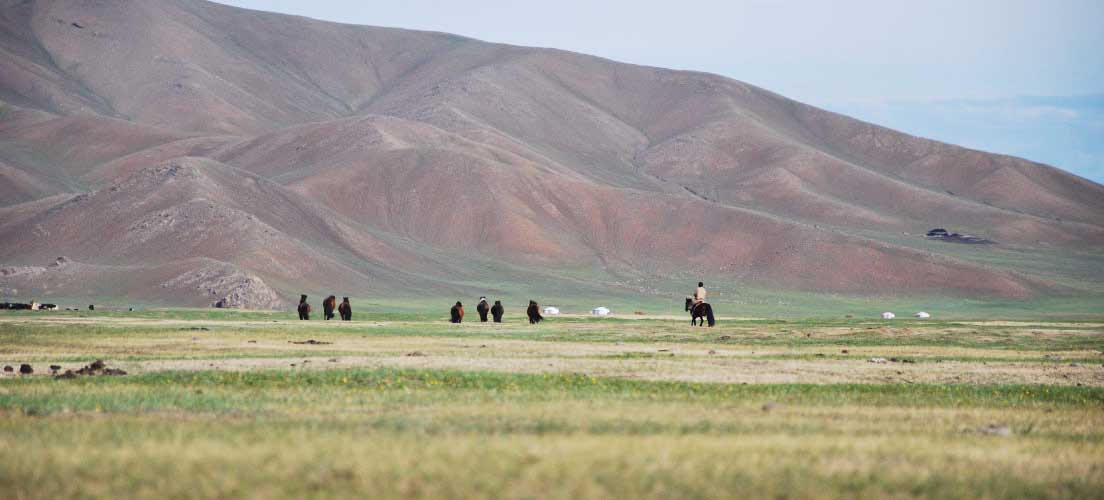 Voyager à vélo en Asie centrale