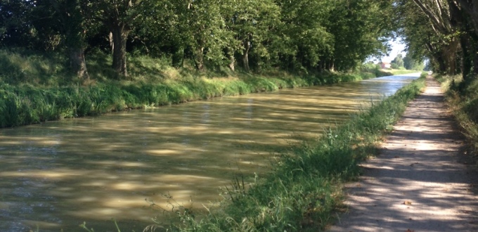 Vélo sur le Canal du midi